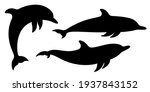 Dolphins graphic icons set. Signs swimming dolphins isolated on white background. Sea life symbols. Vector illustration