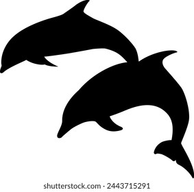 The dolphins icon isolated on white background
