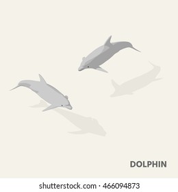 Dolphins in isometric view with shadow.