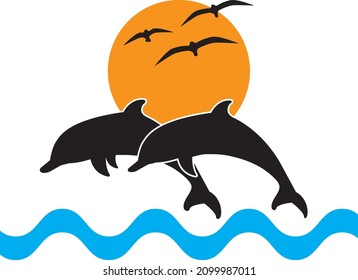 Dolphins jumping in the sea on sunset and flying birds silhouettes isolated on white background, vector. 
