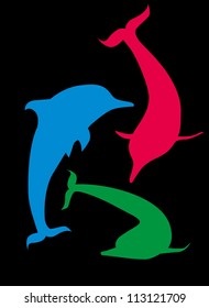 dolphins life