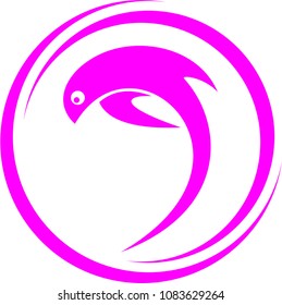 Dolphins logo design