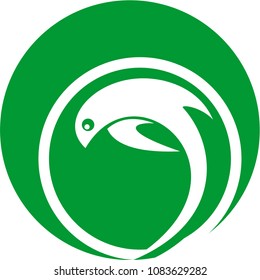 Dolphins logo design