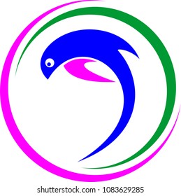 Dolphins logo design