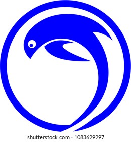Dolphins logo design