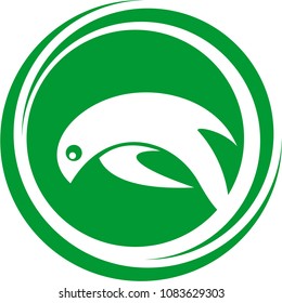 Dolphins logo design