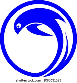 Dolphins logo design