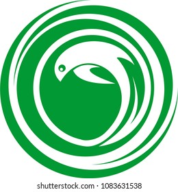 Dolphins logo design