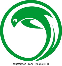 Dolphins logo design