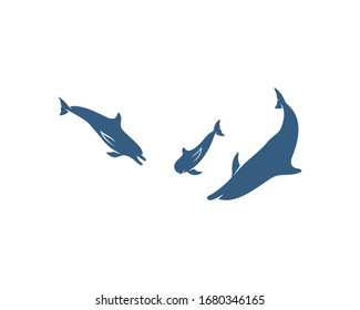Dolphins logo design vector template. Silhouette of Dolphins design illustration