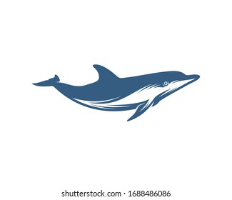 Dolphins logo design vector template. Silhouette of Dolphins design illustration