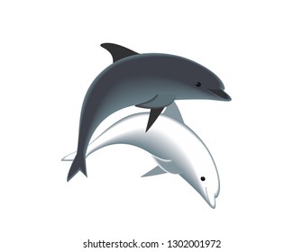 Dolphins on white background