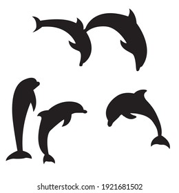 Dolphins on white background vector illustration.