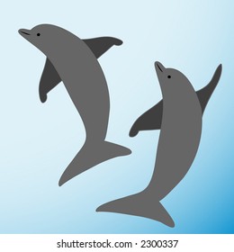 dolphins playing