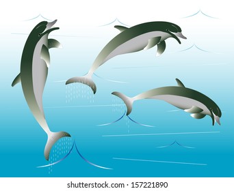 Dolphins playing in colour