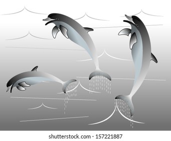 Dolphins playing in silhouette