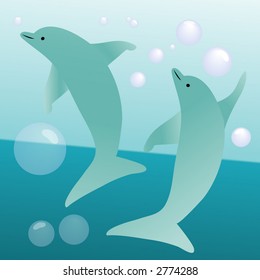 dolphins playing vector