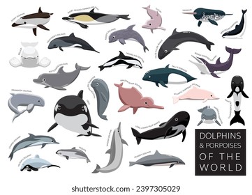 Dolphins and Porpoises of the World Set Cartoon Vector Character