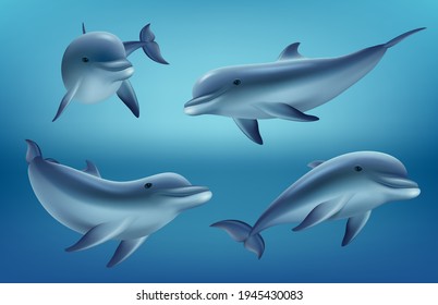 Dolphins realistic. Ocean or marine animals swim fishes with flippers deep blue sea underwater fauna decent vector realistic dolphins collection