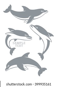 dolphins set
