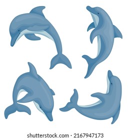 Dolphins set. Cartoon vector graphics.