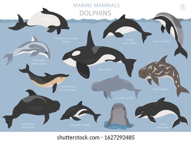 Dolphins set. Marine mammals collection. Cartoon flat style design. Vector illustration