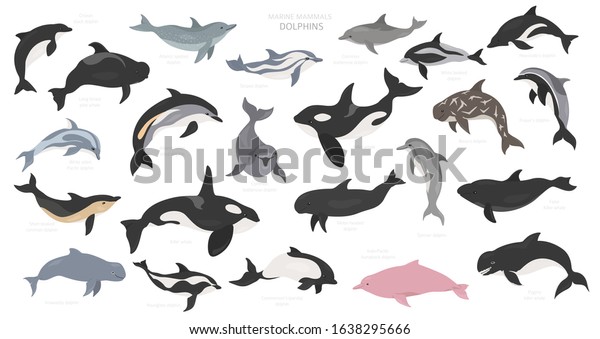 Dolphins set. Marine mammals collection.\
Cartoon flat style design. Vector\
illustration