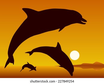 Dolphins. Silhouettes of the dolphins on sunset background. Vector illustration. 