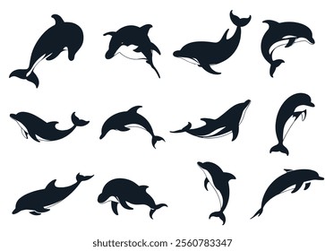 Dolphins Silhouettes vector art. Dolphins collection vector