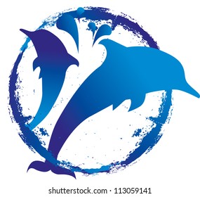  dolphins splash