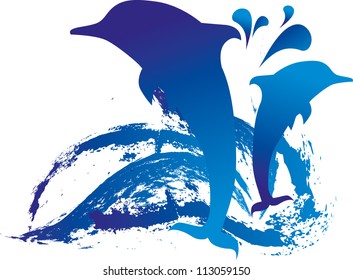  dolphins splash