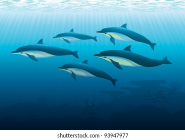 Dolphins Underwater Five Dolphins swim underwater above seabed with corals.  "Full compatible. Created with gradients. Named in layers."