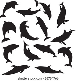 dolphins vector