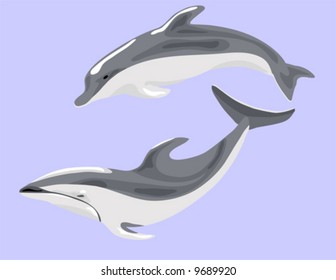 Dolphins vector is hand drawn original artwork  in AI-EPS8 format,