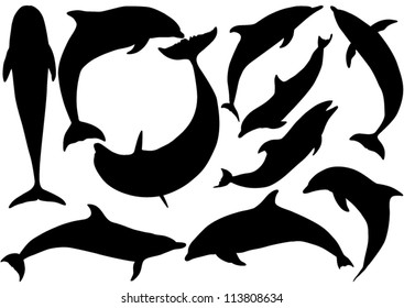 Dolphins vector silhouettes on white background. Layered. Fully editable