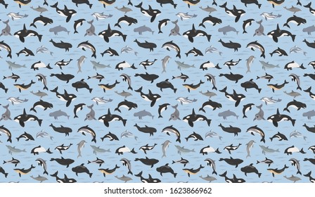 Dolphins walpaper pattern. Marine mammals collection. Cartoon flat style design. Vector illustration