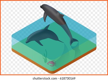 dolphins in water with crab isometric isolated vector eps Illustration