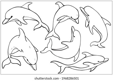 dolphins,,simple  linear set of aquatic mammals, black and white hand drawing, stylized vector graphics