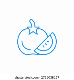 Vector de signo de icono de rebanada de domates