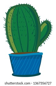 Dome shaped cactus in blue pot vector or color illustration