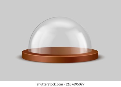 Cúpula de vidrio transparente, estuche de presentación con reflexión en bandeja de madera. Exhibición 3D realista de forma esférica, cloche de vidrio, trampa alimenticia