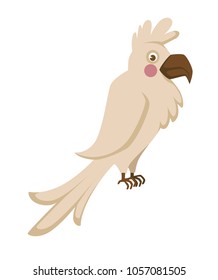 Domestic albino parrot with big sharp beak and funny forelock