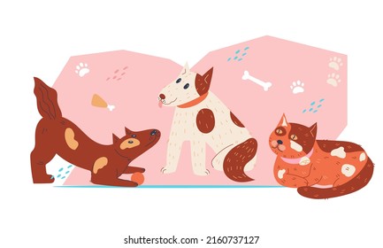 Domestic animal cute pets group at colorful decorative backdrop, flat cartoon vector illustration isolated on white background. Cats and dogs for veterinary and pet care thematic.