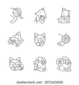 Domestic animal disease linear icons set. Pets health problems. Infectious illness. Infectious parasites. Customizable thin line contour symbols. Isolated vector outline illustrations. Editable stroke