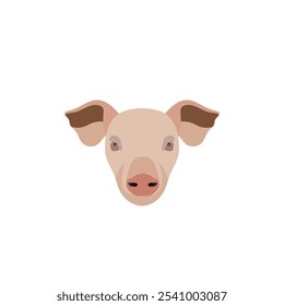 Icono de cara de cerdo animal doméstico sobre fondo blanco.