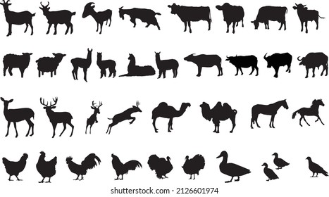 Domestic Animal Silhouette collection, Animal Silhouette