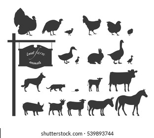 Domestic animals and birds. Black silhouettes on white background. 