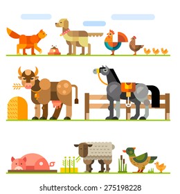 Domestic animals. Farm. Stock raising. Red cat, dog, collar, rooster, chicken, cow, horse, hay, saddle, pig, mud, sheep, duck, goose, aviary. Vector flat illustration 