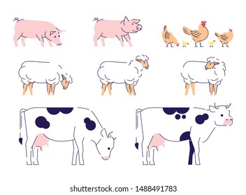 Domestic animals flat vector illustrations set. Livestock, husbandry farming isolated design elements with outline. Cows, sheeps, pigs and chickens. Dairy, poultry farm. Barnyard animals collection