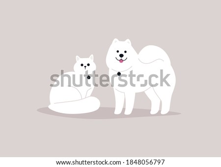 Domestic animals, fluffy white cat and dog wearing medallions, best friends